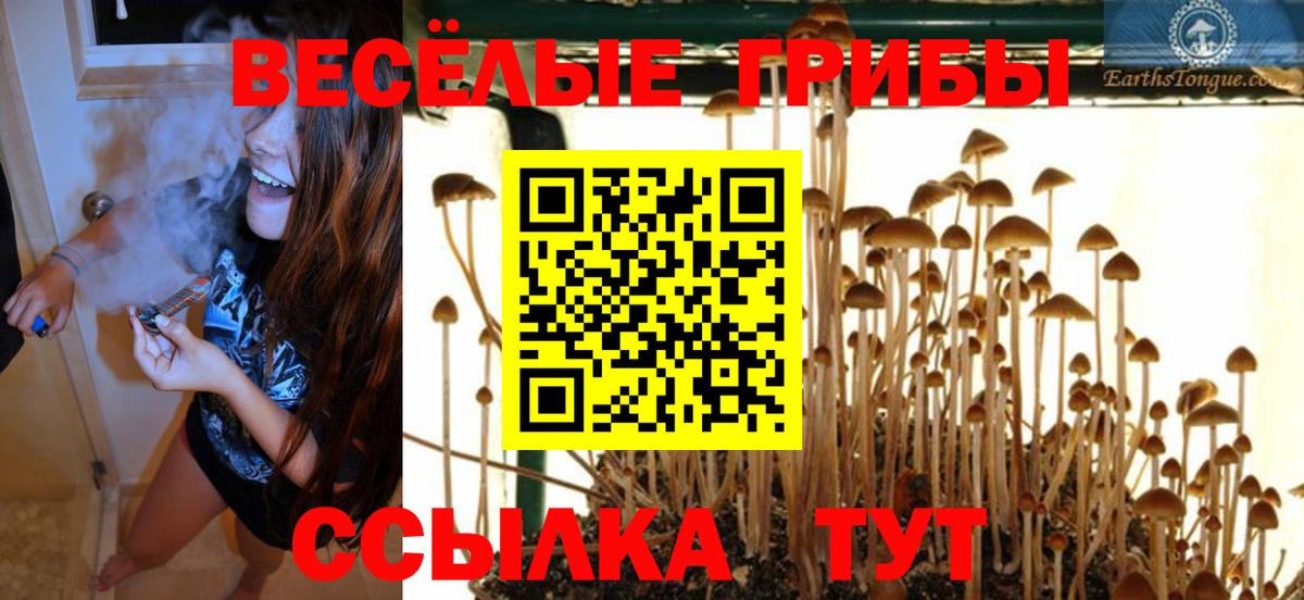 Галлюциногенные грибы Psilocybine cubensis  купить наркотики сайты  Коммунар  Вход с VPN 